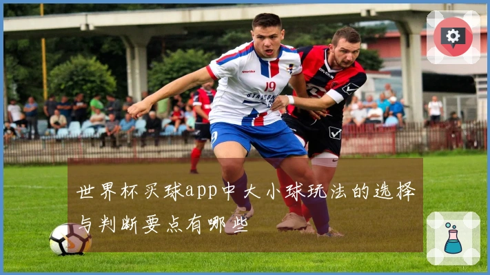 世界杯买球app中大小球玩法的选择与判断要点有哪些