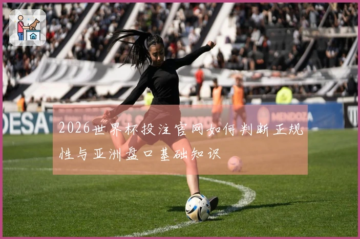 2026世界杯投注官网如何判断正规性与亚洲盘口基础知识