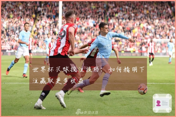 世界杯买球投注技巧：如何精明下注赢取更多收益