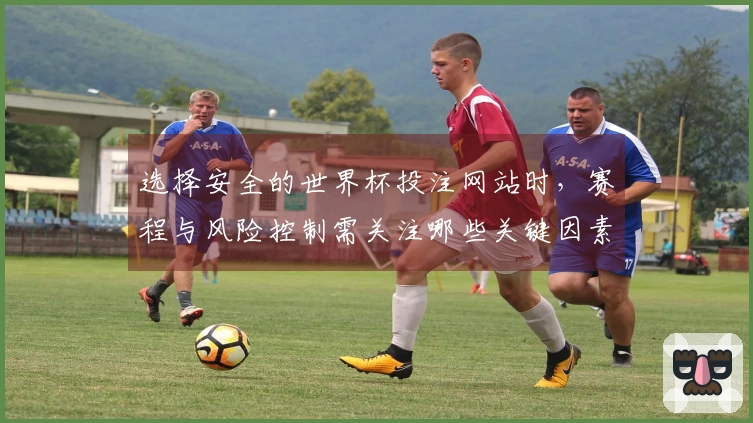 选择安全的世界杯投注网站时，赛程与风险控制需关注哪些关键因素？