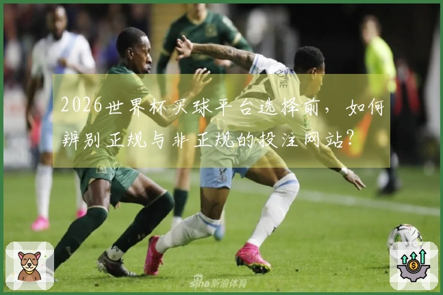 2026世界杯买球平台选择前，如何辨别正规与非正规的投注网站？