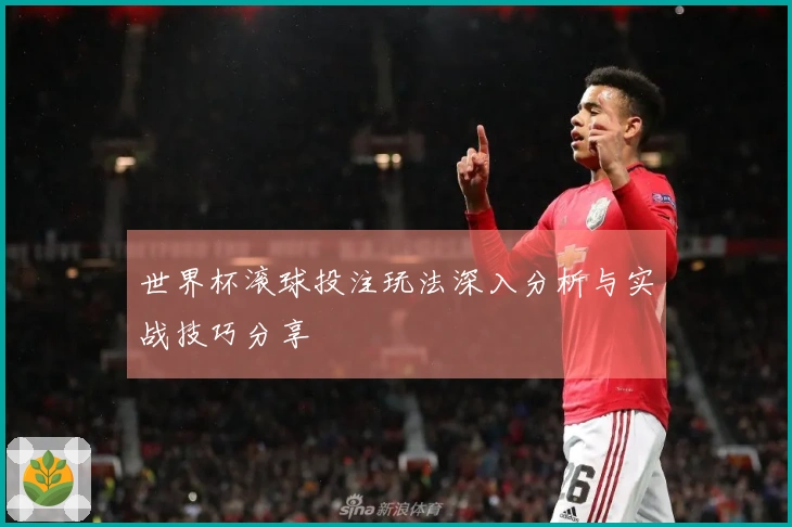世界杯滚球投注玩法深入分析与实战技巧分享