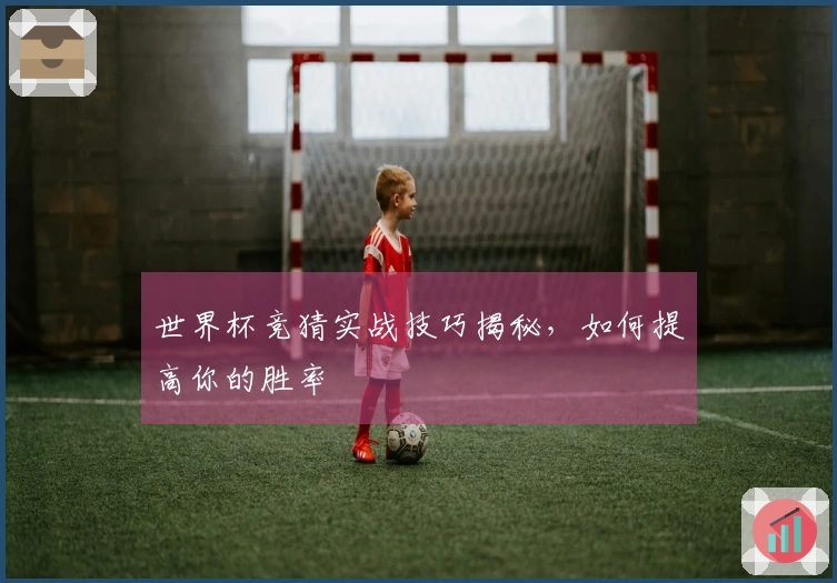 世界杯竞猜实战技巧揭秘，如何提高你的胜率