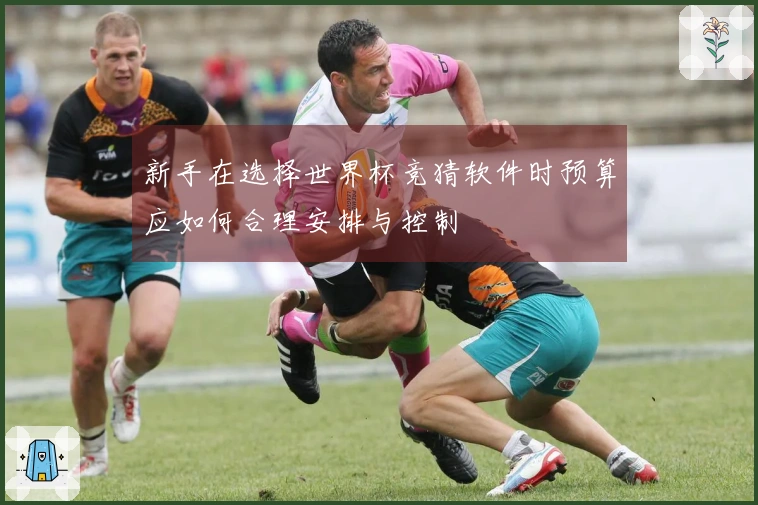 新手在选择世界杯竞猜软件时预算应如何合理安排与控制