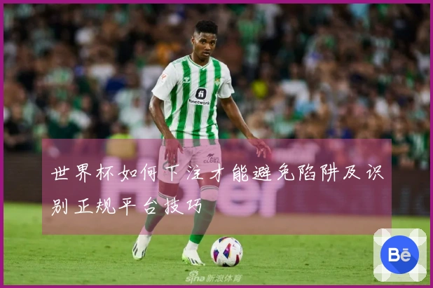 世界杯如何下注才能避免陷阱及识别正规平台技巧