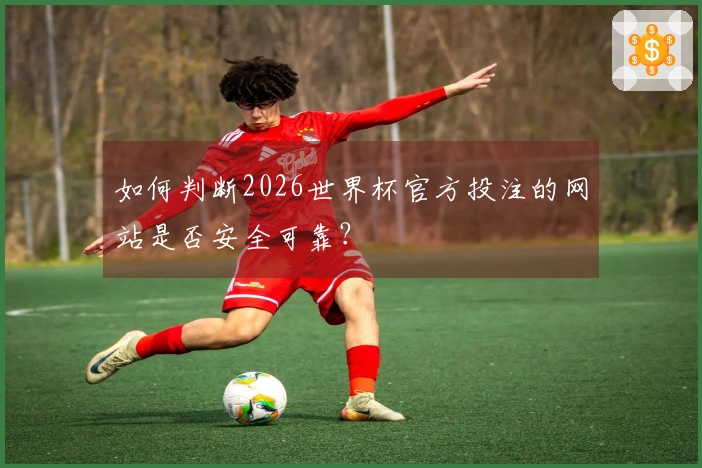 如何判断2026世界杯官方投注的网站是否安全可靠？