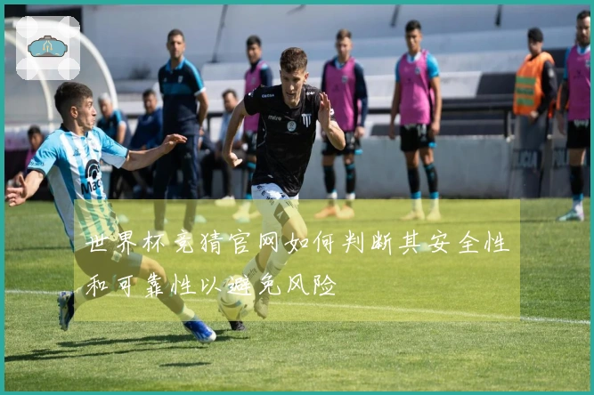 世界杯竞猜官网如何判断其安全性和可靠性以避免风险