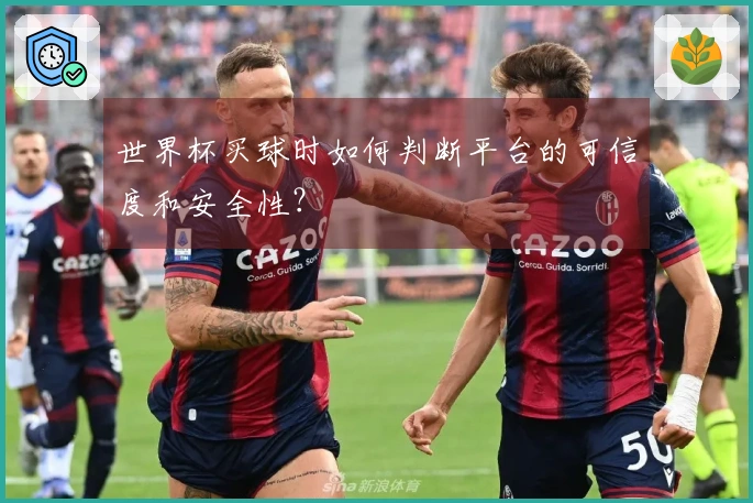 世界杯买球时如何判断平台的可信度和安全性？