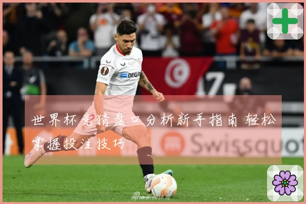 世界杯竞猜盘口分析新手指南 轻松掌握投注技巧