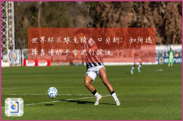 世界杯买球竞猜入口分析：如何选择靠谱的平台进行投注