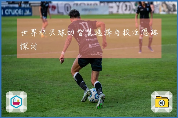 世界杯买球的智慧选择与投注思路探讨