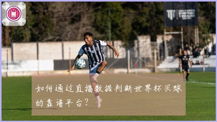 如何通过直播数据判断世界杯买球的靠谱平台？