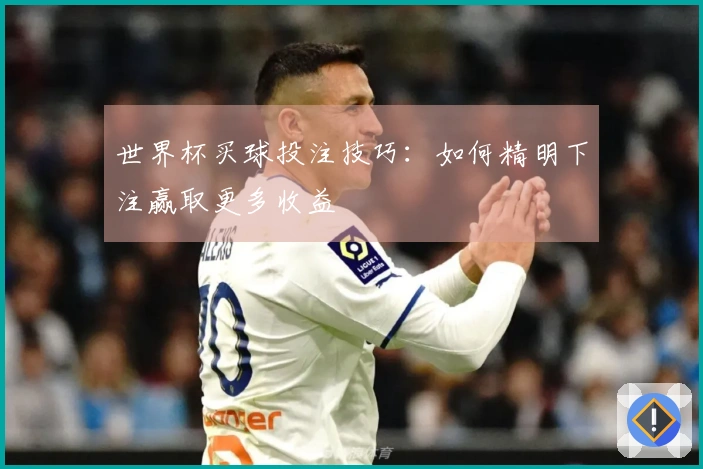 世界杯买球投注技巧：如何精明下注赢取更多收益