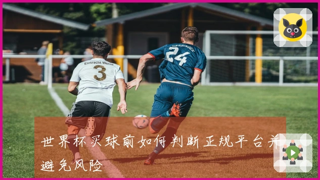 世界杯买球前如何判断正规平台并避免风险