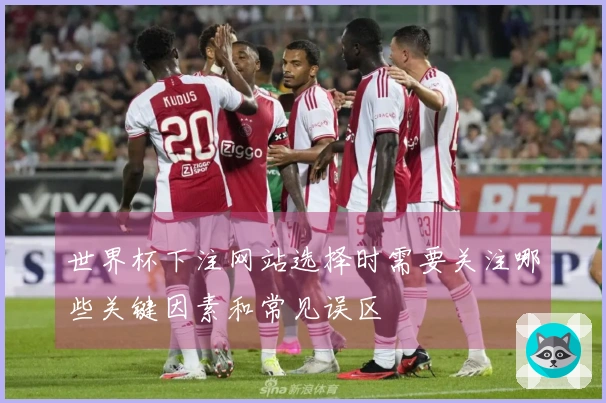 世界杯下注网站选择时需要关注哪些关键因素和常见误区