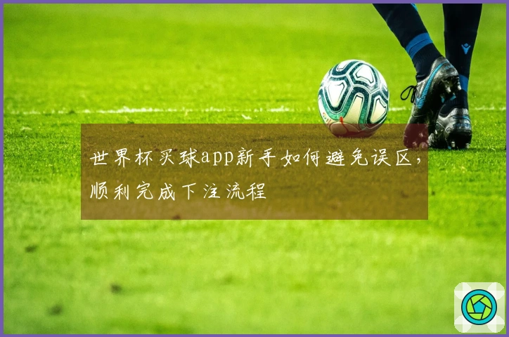 世界杯买球app新手如何避免误区，顺利完成下注流程