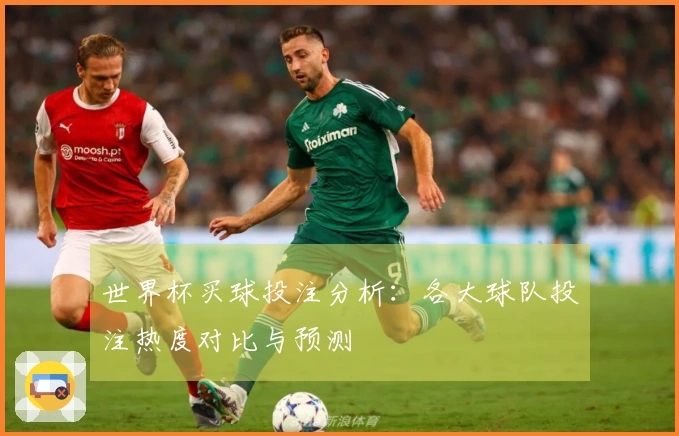 世界杯买球投注分析：各大球队投注热度对比与预测
