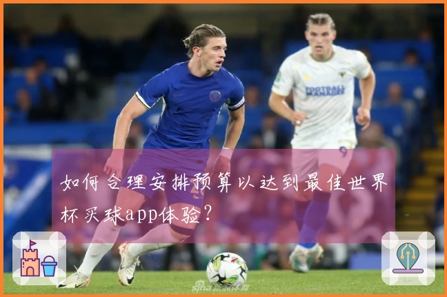 如何合理安排预算以达到最佳世界杯买球app体验？