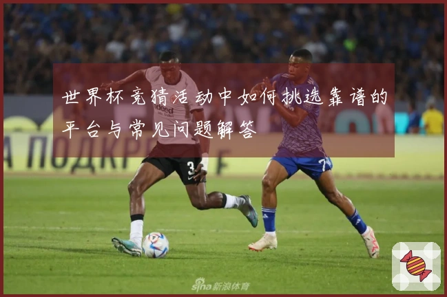 世界杯竞猜活动中如何挑选靠谱的平台与常见问题解答