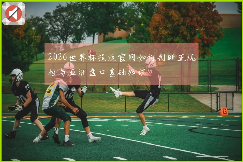 2026世界杯投注官网如何判断正规性与亚洲盘口基础知识