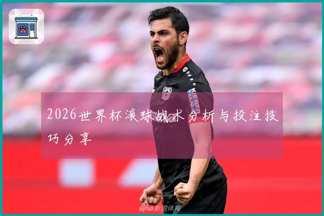 2026世界杯滚球战术分析与投注技巧分享