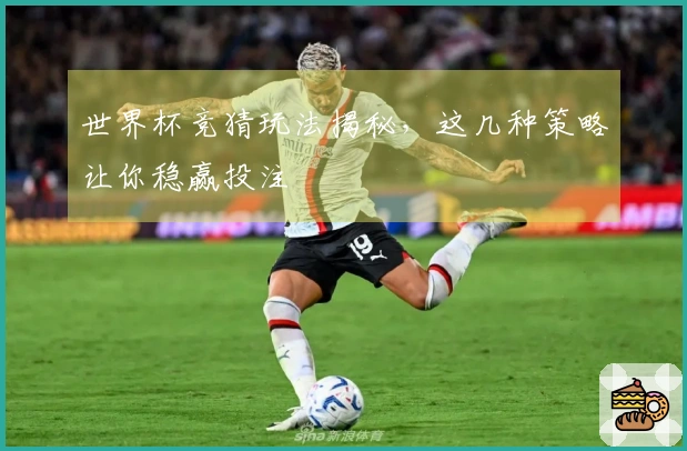 世界杯竞猜玩法揭秘，这几种策略让你稳赢投注