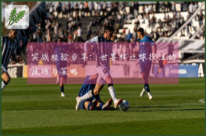 实战经验分享：世界杯让球投注的技巧与策略