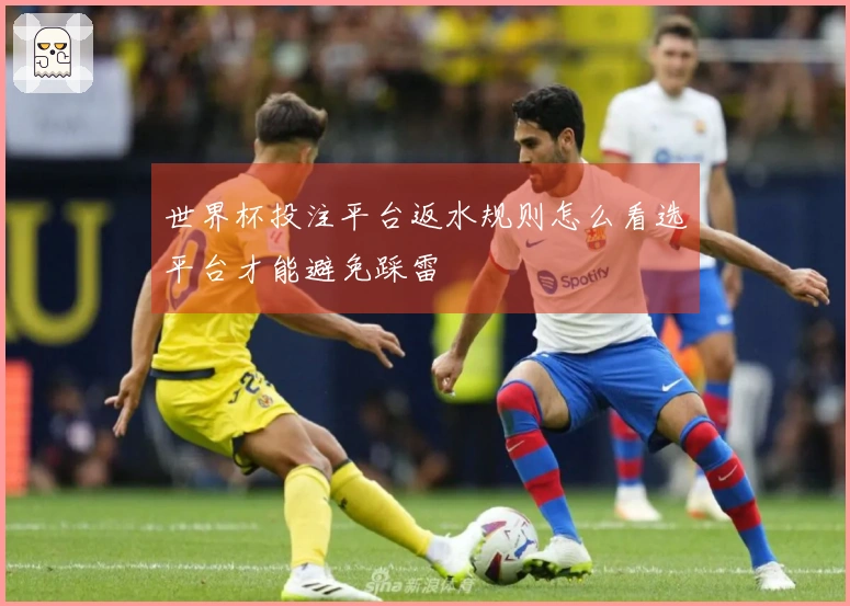 世界杯投注平台返水规则怎么看选平台才能避免踩雷