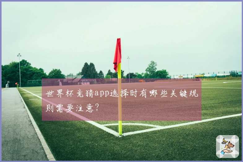 世界杯竞猜app选择时有哪些关键规则需要注意？