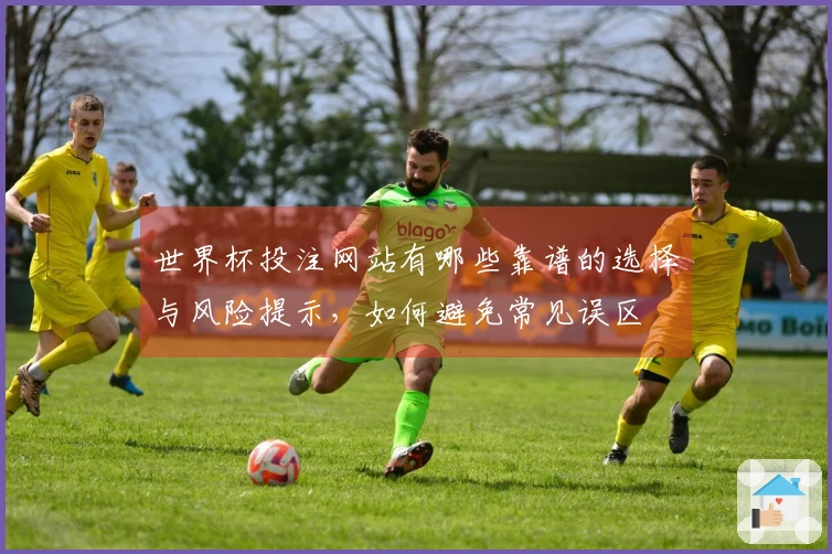 世界杯投注网站有哪些靠谱的选择与风险提示，如何避免常见误区