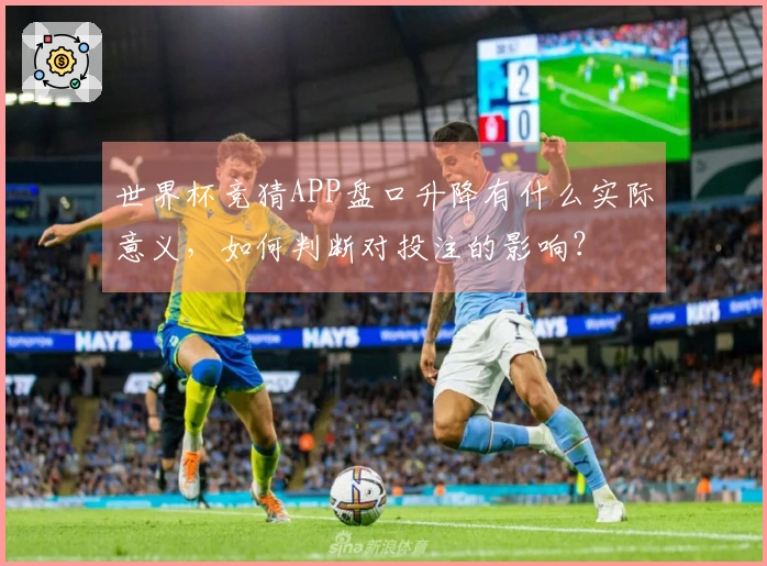 世界杯竞猜APP盘口升降有什么实际意义，如何判断对投注的影响？