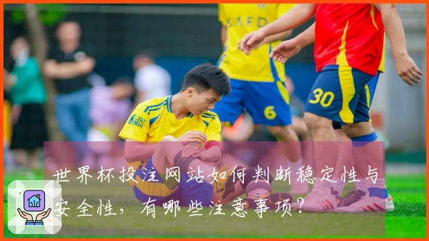 世界杯投注网站如何判断稳定性与安全性，有哪些注意事项？