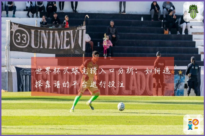 世界杯买球竞猜入口分析：如何选择靠谱的平台进行投注