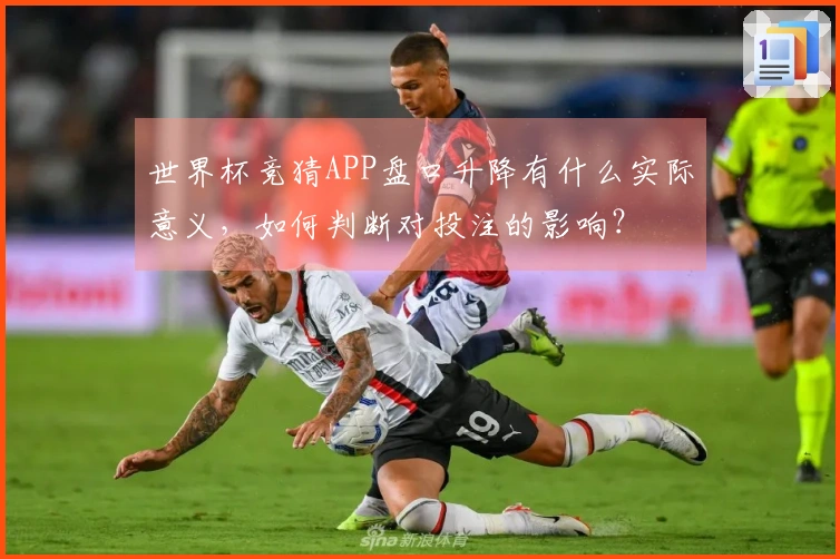 世界杯竞猜APP盘口升降有什么实际意义，如何判断对投注的影响？