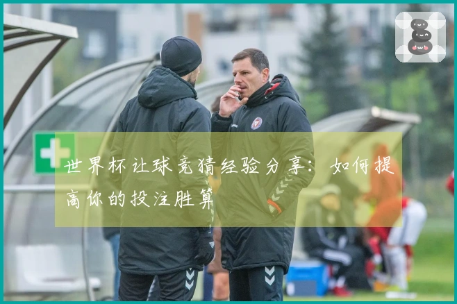 世界杯让球竞猜经验分享：如何提高你的投注胜算